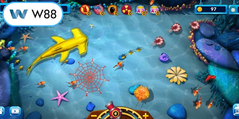 Duy trì tâm thế ổn định khi săn cá