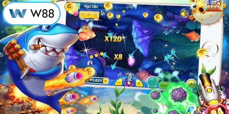 Quy trình bắt đầu hành trình săn cá online